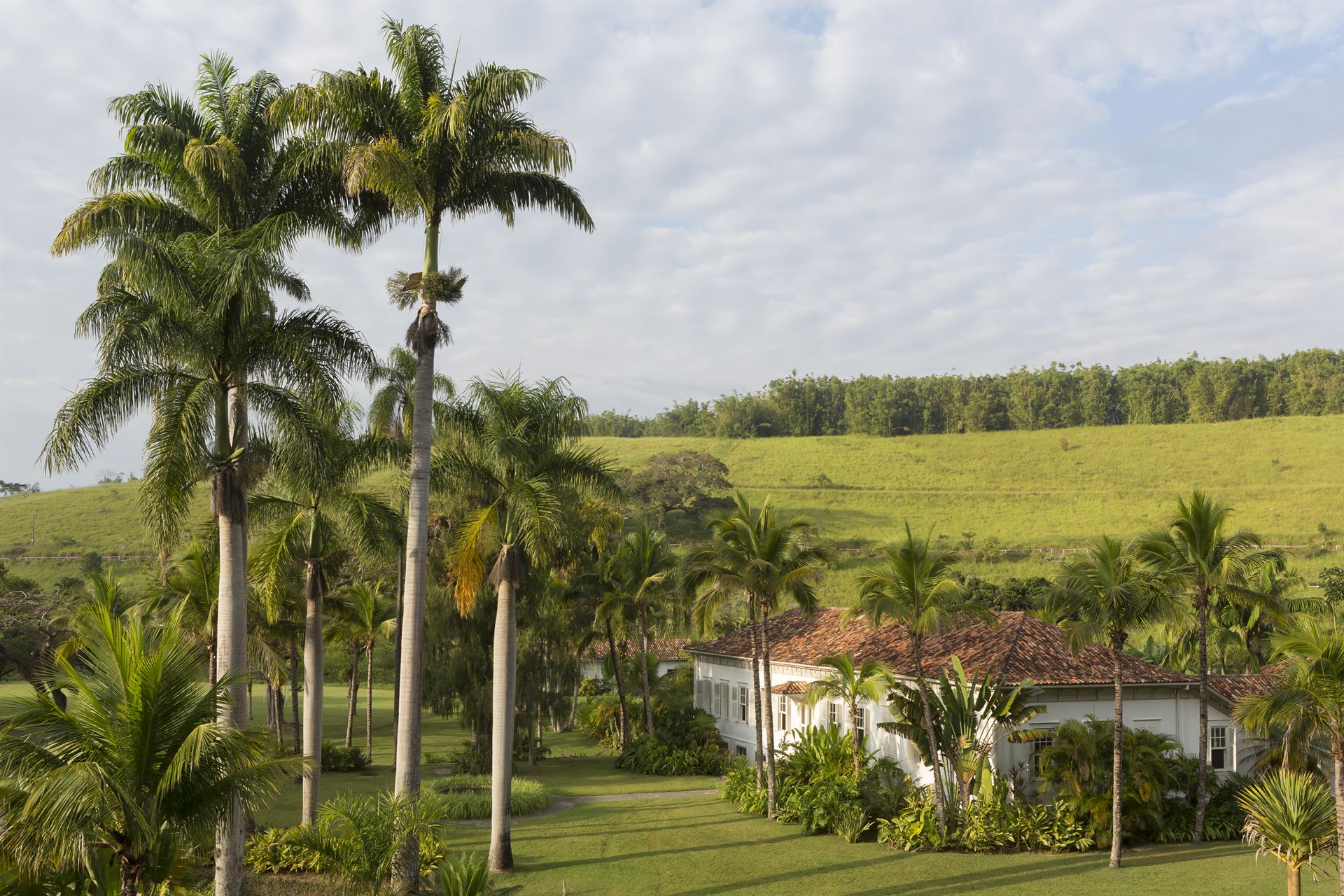 Aluguel casa de luxoSerra Fluminense Villa 08