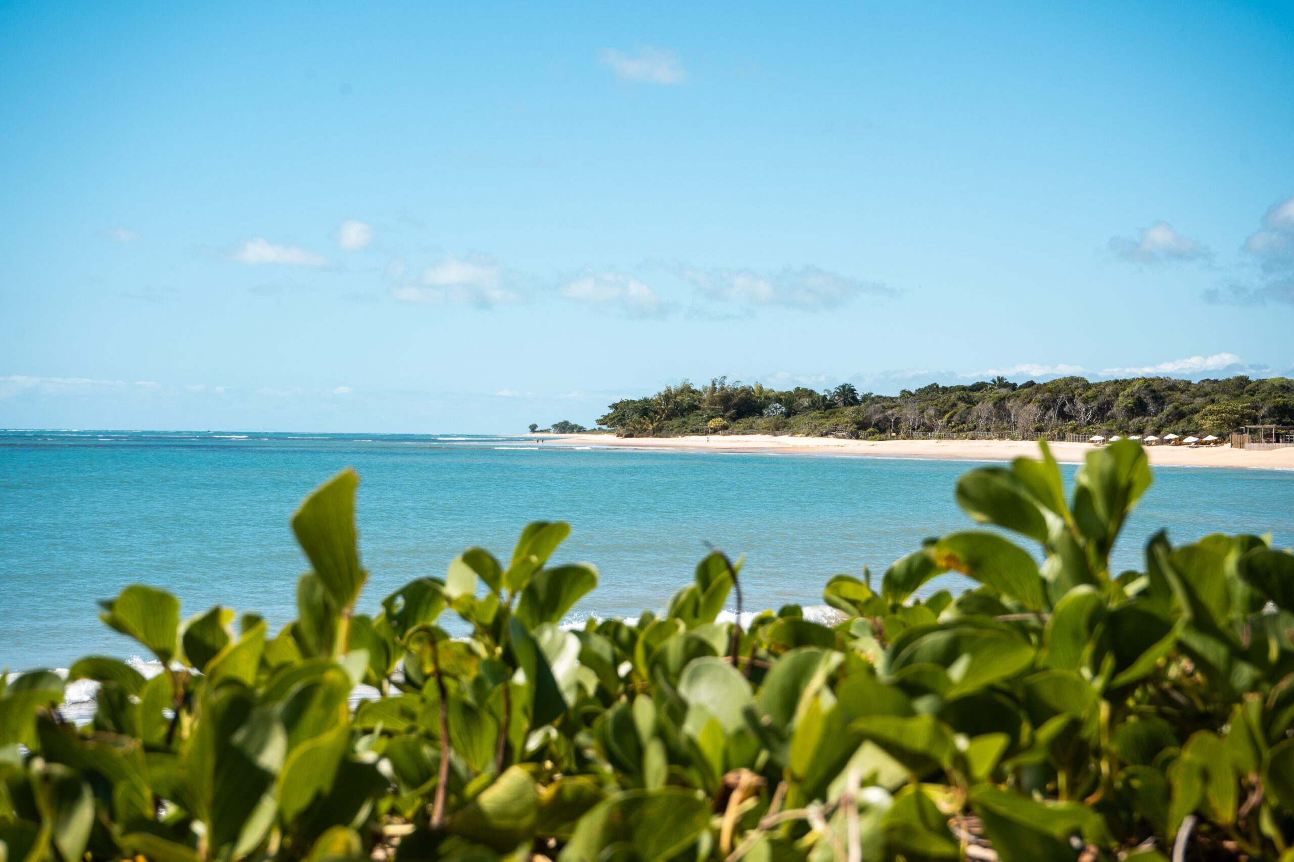 Aluguel casa de luxoTrancoso, Villa 16 + 63