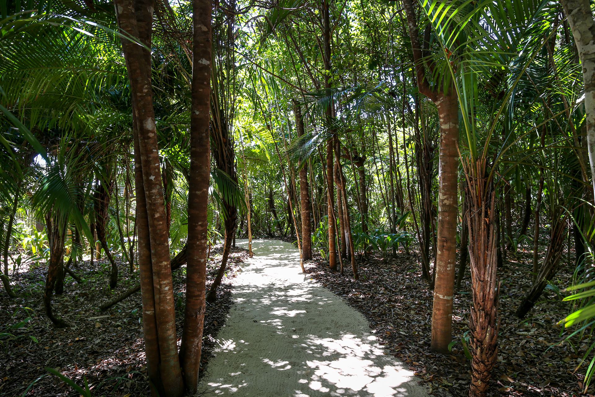 Aluguel casa de luxoTrancoso Villa 37