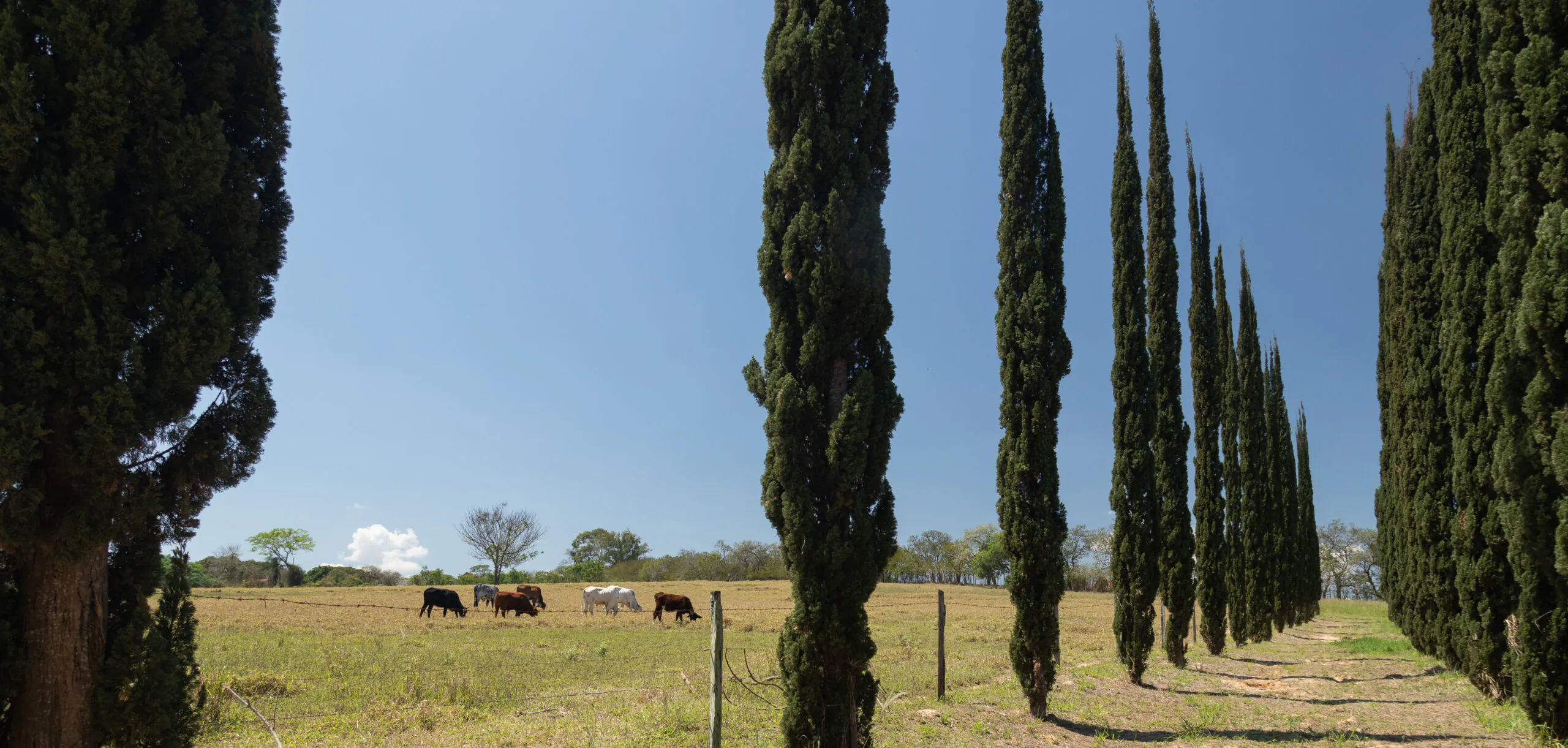 Aluguel casa de luxoIndaiatuba, Villa 03