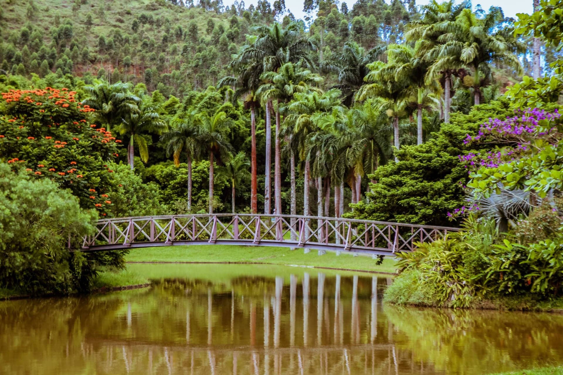 Aluguel casa de luxoSerra Fluminense Villa 09