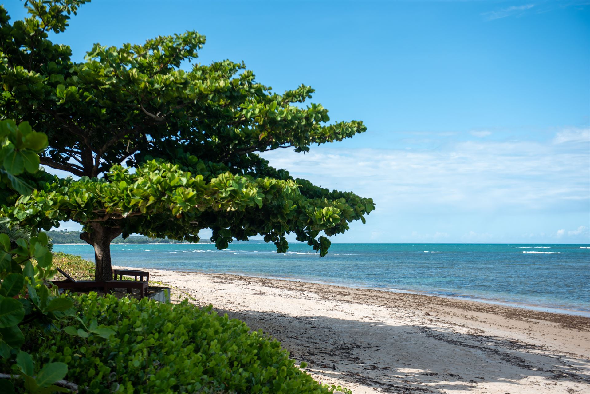 Aluguel casa de luxoTrancoso, Villa 58